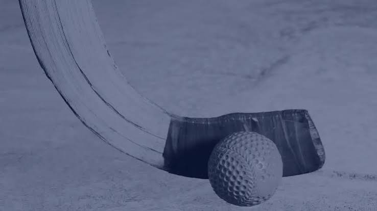 A Guide to Betting on Bandy